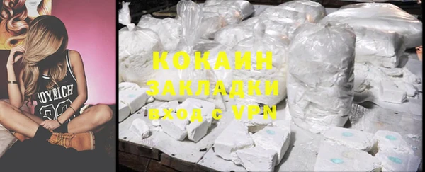 ГАЛЛЮЦИНОГЕННЫЕ ГРИБЫ Аркадак