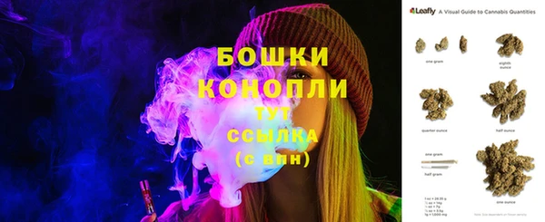 ГАЛЛЮЦИНОГЕННЫЕ ГРИБЫ Аркадак