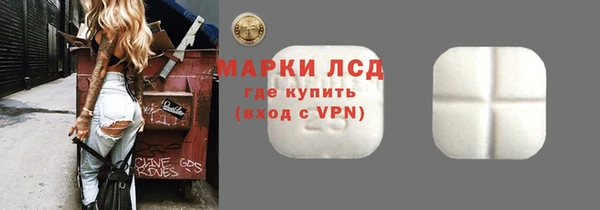 ГАЛЛЮЦИНОГЕННЫЕ ГРИБЫ Аркадак