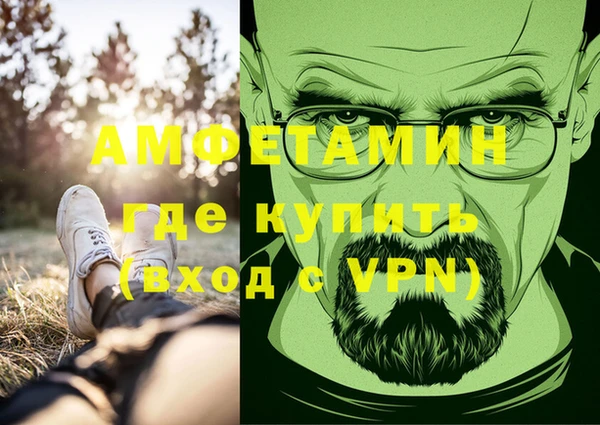 ГАЛЛЮЦИНОГЕННЫЕ ГРИБЫ Аркадак