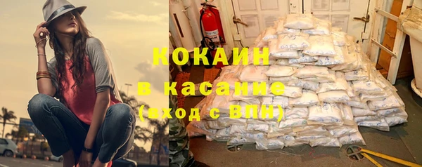 ГАЛЛЮЦИНОГЕННЫЕ ГРИБЫ Аркадак