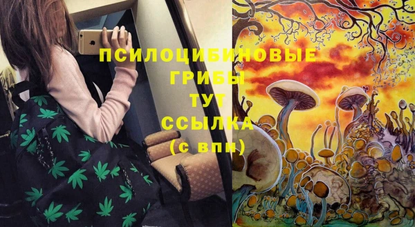 ГАЛЛЮЦИНОГЕННЫЕ ГРИБЫ Аркадак