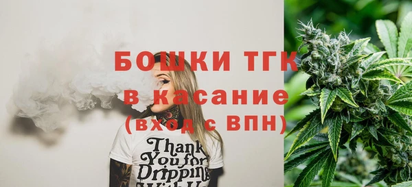 ГАЛЛЮЦИНОГЕННЫЕ ГРИБЫ Аркадак