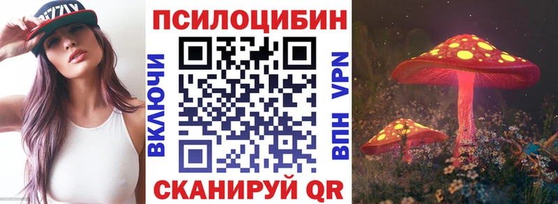 наркошоп  Ликино-Дулёво  Галлюциногенные грибы мицелий 